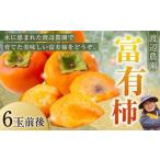 果物類 柿 渡辺農園 富有柿 6玉前後