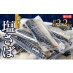 ふるさと納税 【訳あり】塩さば 20切れ 約2.2kg(個包装)_訳あり 塩さば 個包装 鯖 サバ 大容量_【配送不可地域：離島】【1486464】 千葉県館山市
