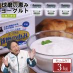 球磨の恵み ヨーグルト 砂糖不使用 3kg