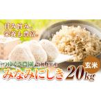 新米 令和6年産 みなみにしき 玄米 20kg