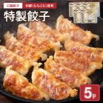 惣菜 レトルト 冷凍 口福餃子 和 もち 豚 使用