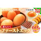 卵 たまご 6ヶ月 定期便 赤玉 ファーストエッグ 60個