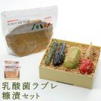 乳酸菌ラブレ糠漬セット
