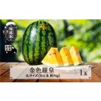 ふるさと納税 先行予約 希少な黄金のスイカ 金色羅皇 こんじきらおう 尾花沢産スイカ 2Lサイズ 約7kg×1玉 7月下旬〜8月中旬頃発送 令和7.. 山形県尾花沢市