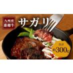 嘉穂牛 サガリ 約300g