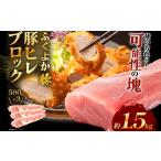 ふるさと納税 豚肉 ヒレブロック約1.5kg ふくよか豚肉 福岡県田川市