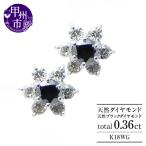 アクセサリー ピアス 天然 ダイヤモンド ブラックダイヤモ…