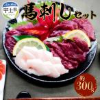 産馬刺しセット約300g 赤身100g×2