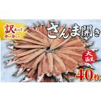 ふるさと納税 【訳あり】 さんま 40枚 さんま 千葉県銚子市