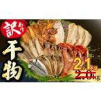 ふるさと納税 訳あり 干物 2.1kg 【2026年3月発送】 山由水産 干物 干物 静岡県沼津市