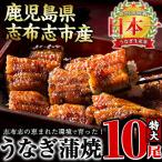 うなぎの大楠 10尾セット計1.7kg 170g×10