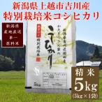 特別栽培米 コシヒカリ 精米 5kg