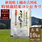 特別栽培米 コシヒカリ 精米 10kg