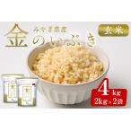 金のいぶき 4kg