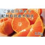 紀州有田産 不知火 しらぬひ 約8.5kg※2027年2月中旬頃