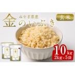 金のいぶき 10kg