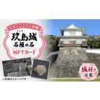 玖島城石垣の石 NFT 役所商工観光部ふるさと物産振興課