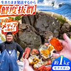 豊前海産 タイワンガザミ 1kg