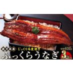ふるさと納税 うなぎ 蒲焼 200g×3尾【鹿児島産】地下水で育てた絶品鰻 鹿児島県大崎町