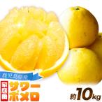 みかん サワーポメロ 10kg