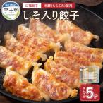 口福餃子 和 もち 豚 使用 しそ入り餃子 冷凍生