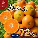 たまな産 温州みかん 12kg