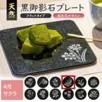 SE0272 天然黒御影石 フラットプレート 1枚