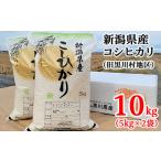 令和7年産 産コシヒカリ 精米 10kg