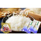 令和5年産 新庄産米 コシヒカリ 精米 10kg