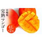 ふるさと納税 ＜宮崎県 完熟マンゴ