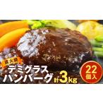 ふるさと納税 直火焼 デミグラスソース ハンバーグ 22個セット(計3kg超え)|ハンバーグ 温めるだけ デミグラス 日本ハム 冷凍 個包装 簡単調理.. 茨城県常総市