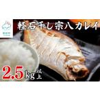 ふるさと納税 【北海道産】訳あり 軽石を使った干物 北海道産カレイ 合計2.5kg以上 不揃い 傷 冷凍  北海道鹿部町