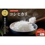 コシヒカリ 無洗米 令和7年産