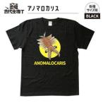 ショッピング恐竜 ふるさと納税 恐竜・古代生物Tシャツ　アノマロカリス　サイズ130（キッズ・ユニセックス） 福島県いわき市