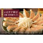 ふるさと納税 「浜松餃子」いえやす餃子 2種 100個セット【配送不可:離島】 惣菜 冷凍 冷凍餃子 食べ比べ あっさり 肉餃子 ジューシー おかず .. 静岡県浜松市