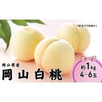 fu.... tax peach 2024 year preceding reservation Okayama white peach Ace 4~6 sphere 1kg Okayama prefecture production JA..... ..(. raw kind * middle raw kind ).. Momo Okayama prefecture production domestic production full -.. Okayama prefecture sphere . city 