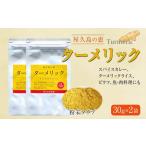 屋久島の恵 ターメリック 30g×2袋