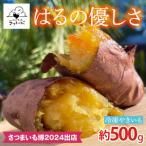 はるの優しさ 冷凍やきいも 約500g