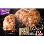 ふるさと納税 白糠牛100%ハンバーグ【150g×12個】合計1.8kg 北海道産 牛肉100% ハンバーグ 職員大絶賛!! 肉汁 旨味ぎっしり ふるさと納税 .. 北海道白糠町