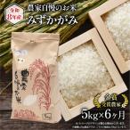 令和8年産 米 5kg
