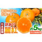 訳あり 麗紅 5kg