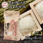 令和8年産 米 10kg