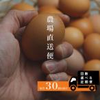 定期便 四ツ葉農場の霜降りたまご きみがスター 30個