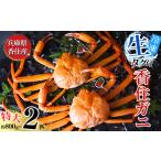 香住ガニ 活〆 タグ付き 特大 約800g×2匹