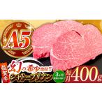 佐賀牛シャトーブリアン200g×2パック