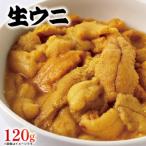 ふるさと納税 生ウニ 120g 無添加 ミョウバン不使用 生うに 冷蔵 うに 雲丹 寿司 小分け Sea urchin 新鮮 直送 産地直送 生食 生 ごはん 夕飯 .. 岩手県大船渡市