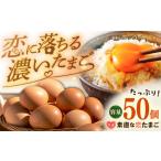 fu.... налог яйцо Tama . специальный отбор элемент прямой .. Tama .50 шт [JAP0017] Nagasaki префектура .. город 