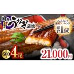 ふるさと納税 7月31日まで! 鹿児島県 大隅産 うなぎ 蒲焼 4尾(600g) KN007-004-04 国産 本格 鰻 ウナギ 冷凍 湯煎 レンジ 解凍 簡単調理 鰻.. 鹿児島県鹿屋市