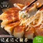 餃子 にんにく餃子 110個