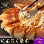 餃子 にんにく餃子 梅しそ餃子 各2袋